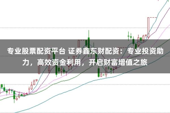 专业股票配资平台 证券鑫东财配资：专业投资助力，高效资金利用，开启财富增值之旅