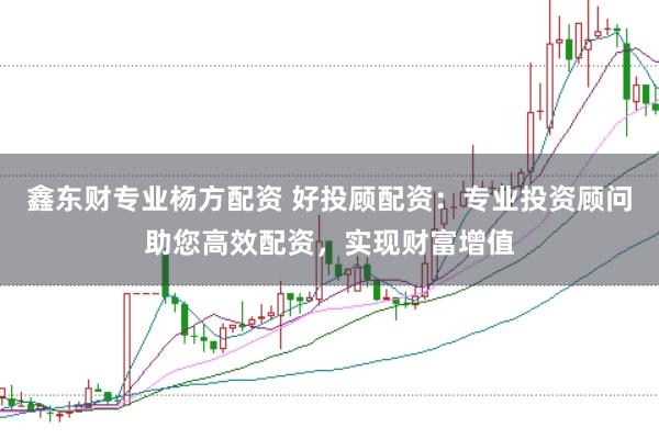 鑫东财专业杨方配资 好投顾配资：专业投资顾问助您高效配资，实现财富增值