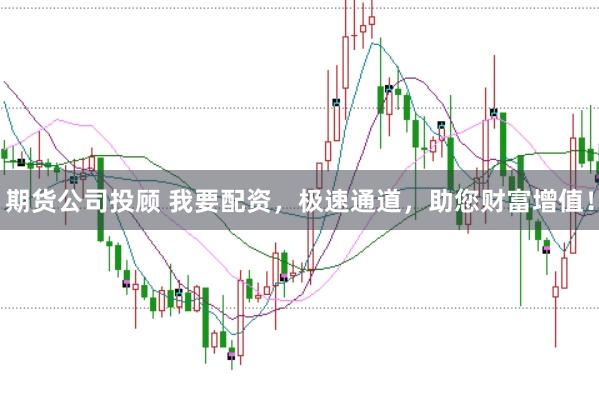 期货公司投顾 我要配资，极速通道，助您财富增值！