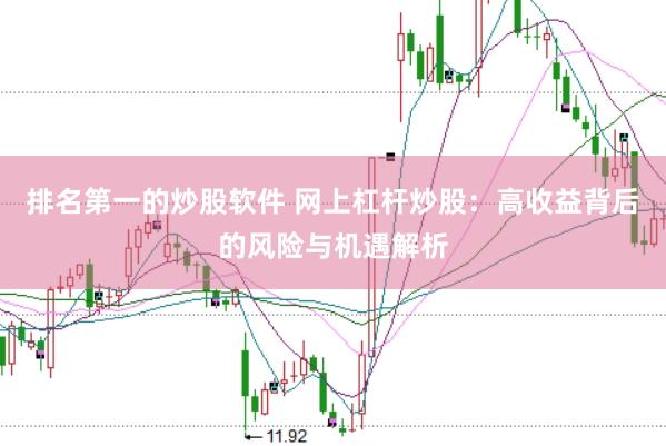 排名第一的炒股软件 网上杠杆炒股：高收益背后的风险与机遇解析