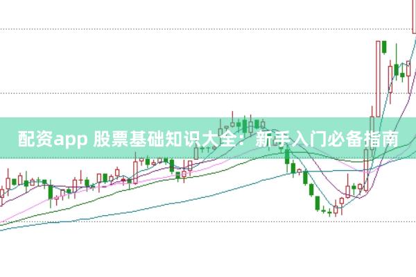 配资app 股票基础知识大全：新手入门必备指南