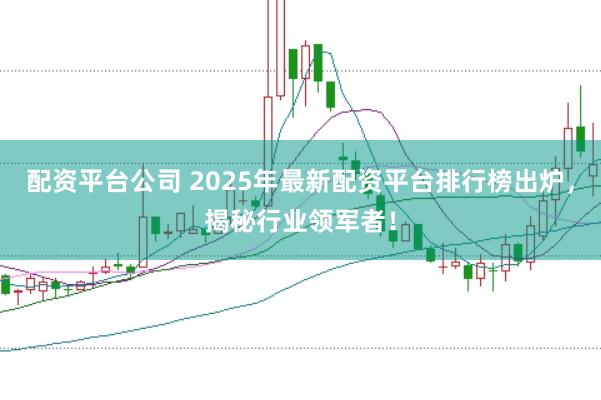 配资平台公司 2025年最新配资平台排行榜出炉，揭秘行业领军者！