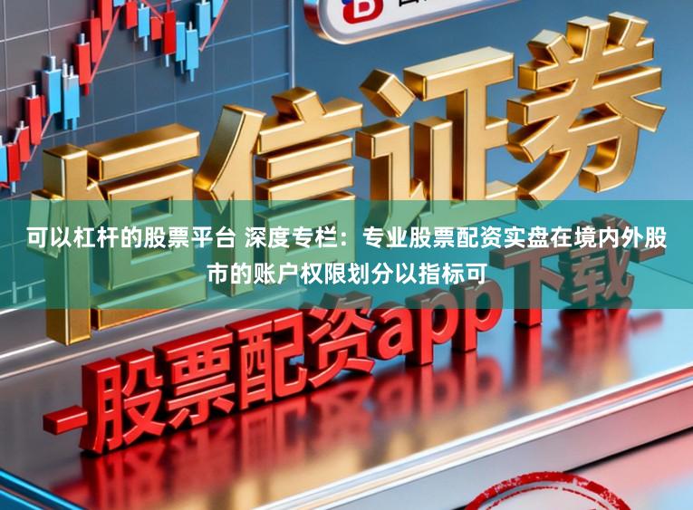 可以杠杆的股票平台 深度专栏：专业股票配资实盘在境内外股市的账户权限划分以指标可