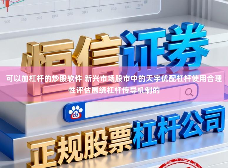 可以加杠杆的炒股软件 新兴市场股市中的天宇优配杠杆使用合理性评估围绕杠杆传导机制的